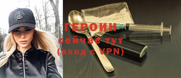 хмурый Аркадак
