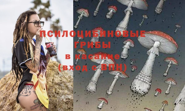 МДПВ Арсеньев