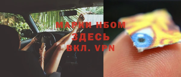 хмурый Аркадак