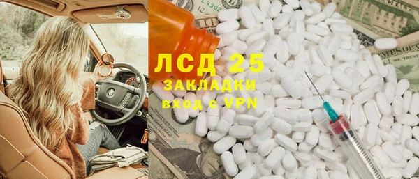 хмурый Аркадак
