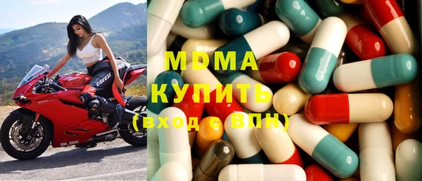 хмурый Аркадак
