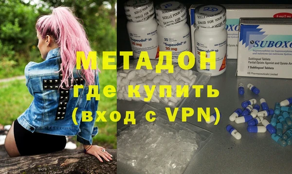хмурый Аркадак
